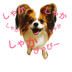 [LINEスタンプ] パピヨンのメルちゃん