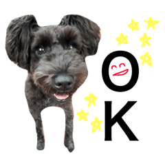 [LINEスタンプ] うちのぺぺ2