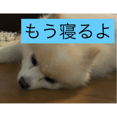 [LINEスタンプ] 甘えん坊のアイ