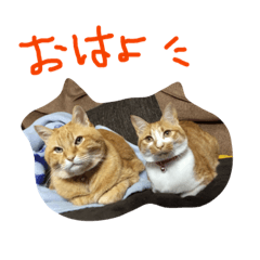 [LINEスタンプ] ちゃとら (エグ＆ダブル)