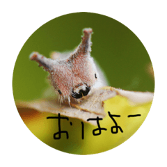 [LINEスタンプ] イモムシケムシスタンプ