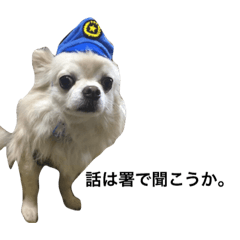 [LINEスタンプ] 犬のおまわり、ポッキーくん。