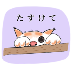 [LINEスタンプ] 動物の大集合