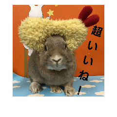 [LINEスタンプ] 谷道家のいろいろ