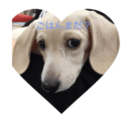 [LINEスタンプ] ロイ.チェリー