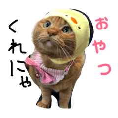 [LINEスタンプ] まいけるにゃよ パート2