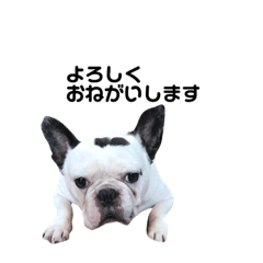 [LINEスタンプ] 坊です 2nd