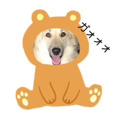 [LINEスタンプ] ウチのポンちゃん