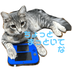 [LINEスタンプ] うちのきり丸と武蔵丸