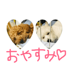 [LINEスタンプ] モカ＆サラ