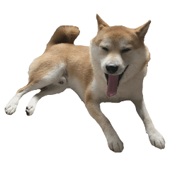 [LINEスタンプ] 犬のきもちだワン