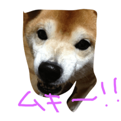 [LINEスタンプ] くぅさま