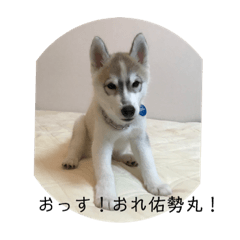 [LINEスタンプ] とう＆ゆせまるの生活