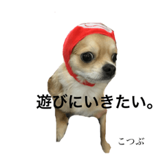 [LINEスタンプ] 私はこつぶ。