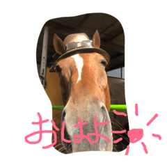 [LINEスタンプ] 駿ホースタンプ1