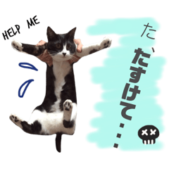 [LINEスタンプ] ふーこスタンプ1