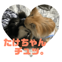 [LINEスタンプ] たけちゃんに送るスタンプ！