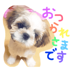 [LINEスタンプ] 栄五郎