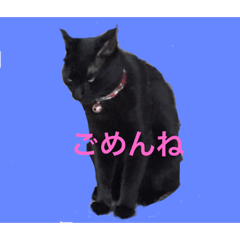 [LINEスタンプ] クロ君とぶちゃ君