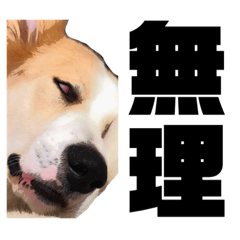 [LINEスタンプ] 彼の名前はテンです。