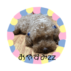 [LINEスタンプ] ワンニャン一言