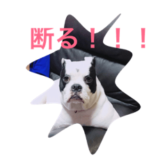 [LINEスタンプ] 三平君のスタンプ