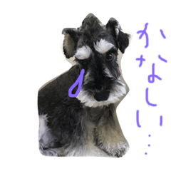 [LINEスタンプ] ミニシュナのロッティとエルフィ