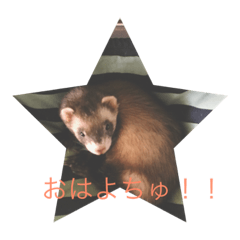[LINEスタンプ] 暇を持て余したフェレット