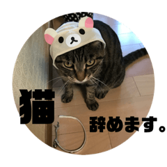 [LINEスタンプ] ぴけのすたんぷ