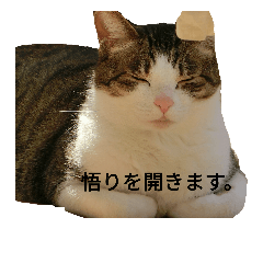 [LINEスタンプ] 靴下戦隊3