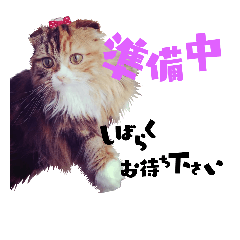 [LINEスタンプ] 愛猫ふれんず！