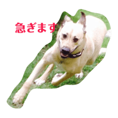 [LINEスタンプ] えんじぇるさんのスタンプ