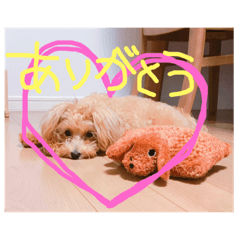[LINEスタンプ] ななのすたんぷ