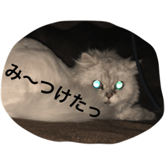 [LINEスタンプ] 犬猫ハムスター