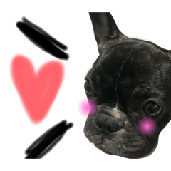 [LINEスタンプ] 我が家のlocoちゃんver.2