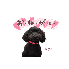[LINEスタンプ] ちゅっぱさんの日常