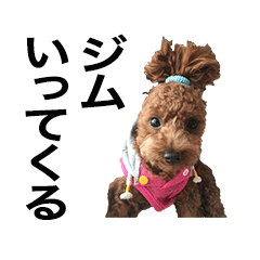 [LINEスタンプ] トイプーもこたん