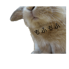 [LINEスタンプ] へんてこうさぎへーはち2