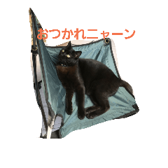 [LINEスタンプ] 田中黒男スタンプ