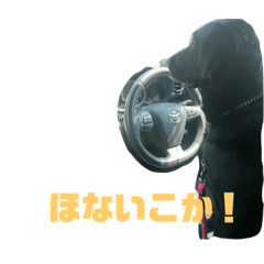 [LINEスタンプ] kazuneeeの作るhanaスタンプ