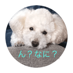 [LINEスタンプ] 王様ふく様参上