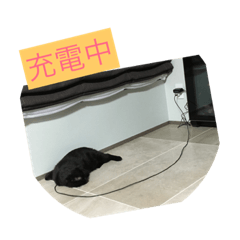 [LINEスタンプ] ジジとショコラ