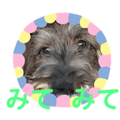 [LINEスタンプ] あいの肉球