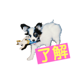 [LINEスタンプ] 女池