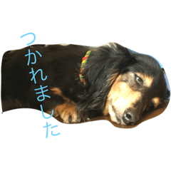 [LINEスタンプ] ココちゃん生活