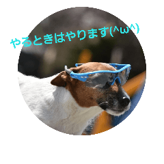[LINEスタンプ] ジャックと一緒♪