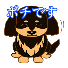 [LINEスタンプ] ポチ スタンプ