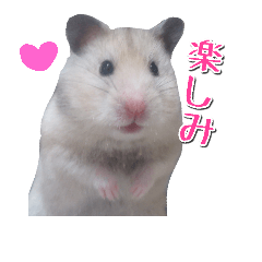 [LINEスタンプ] ハムスターのめい