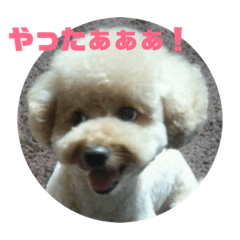 [LINEスタンプ] ミルクプリン