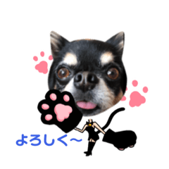 [LINEスタンプ] ロビン.2